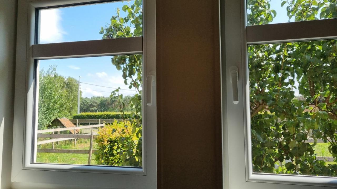 Boshovense Velden Villa Grobbendonk Eksteriør bilde